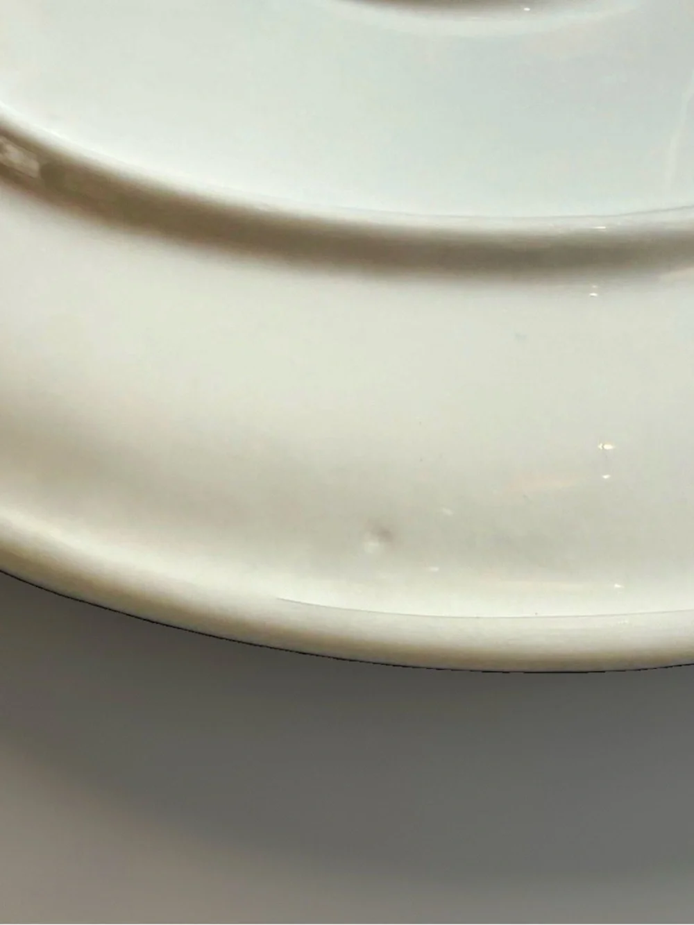 RARE! Set of 2 Pier 1 Pomegranate Dinner Plates Made in Italy 11.25”